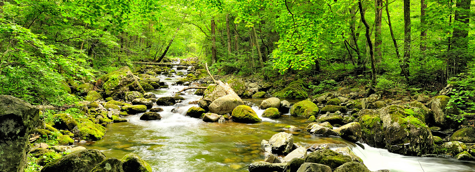 Bayerischer Wald - Ilztal