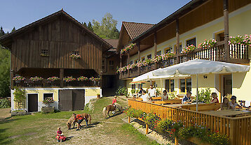 Ferienhof im Dreiburgenland